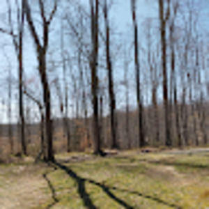 Meet your Posher, Keith